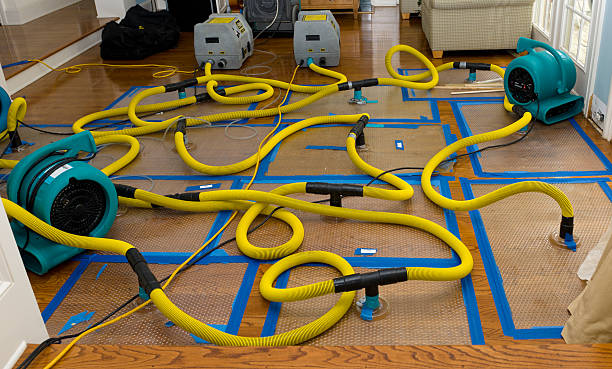 Professional Crawl Space Water Removal technician working in Shelby, MS